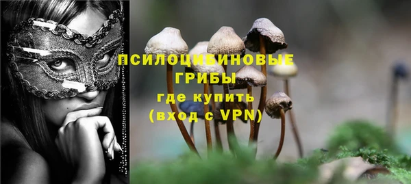СК Аркадак