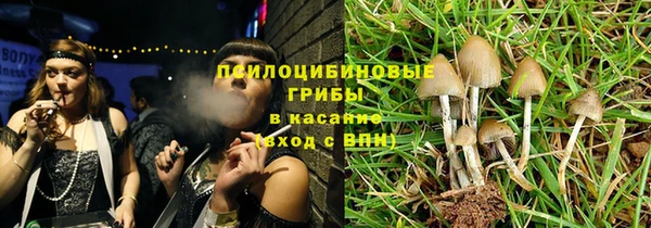 PSILOCYBIN Армянск