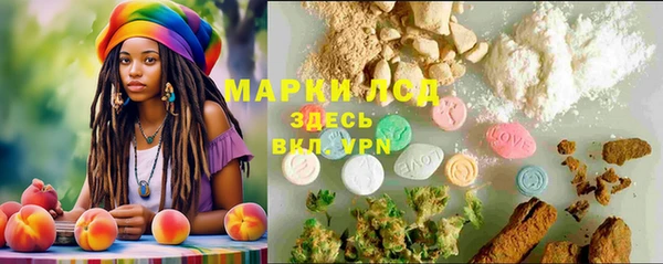 PSILOCYBIN Армянск