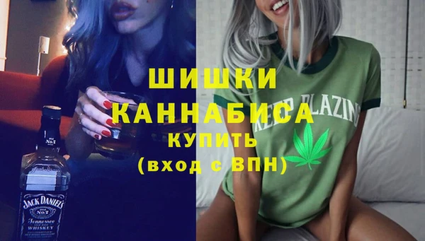 дмт Алексин