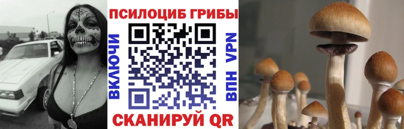 гидра как войти  Краснослободск  Псилоцибиновые грибы прущие грибы 
